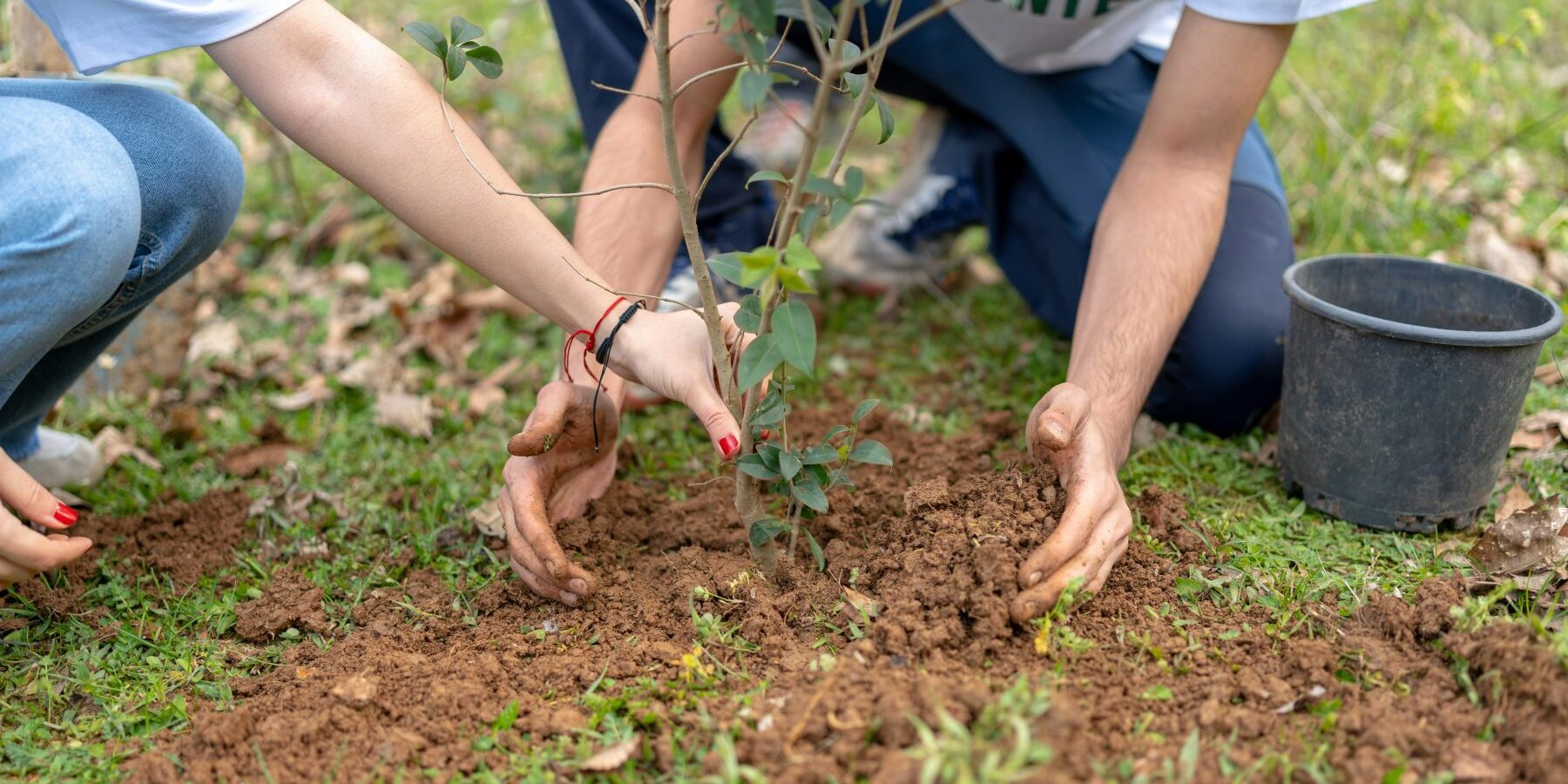 16-21-ahmet-kurt-qi4FA98Fg8w-unsplash