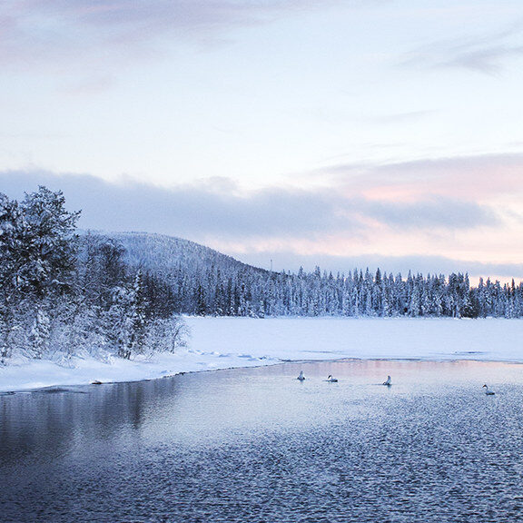 Anna Muotka / FEE Suomi