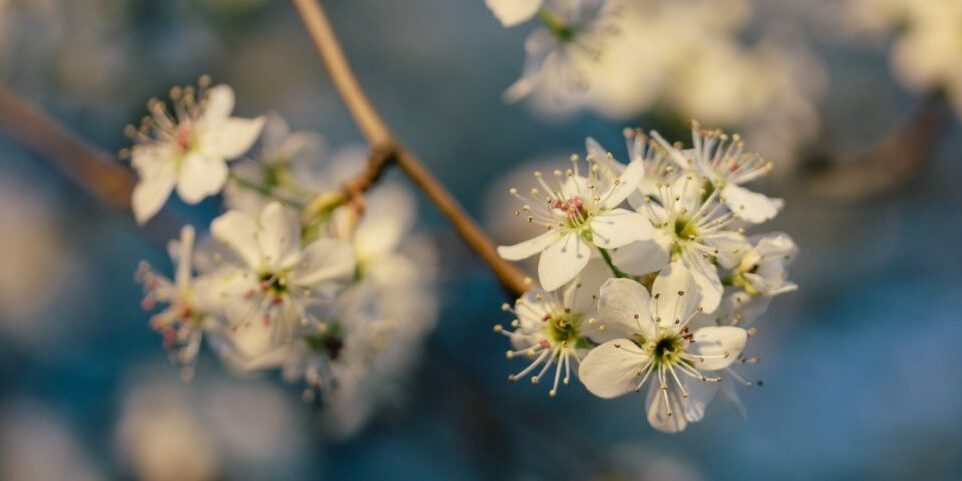 Ympäristökasvatus 2/2018