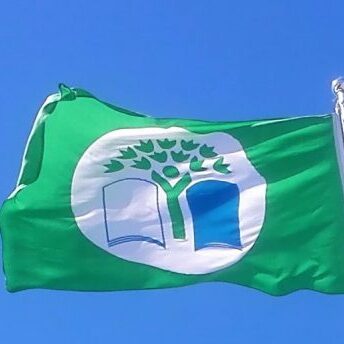 Flagga_rajattu_Sjundeå svenska skola_Lena Ahlroth_pieni