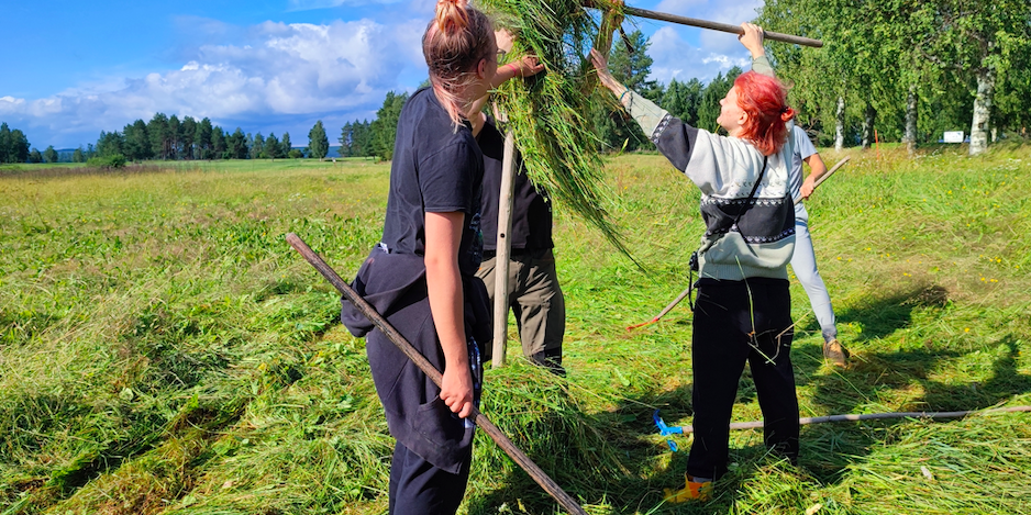 -Hyvärilä-heinässä-pieni