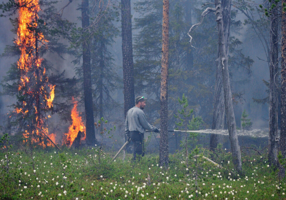 Karsikkovaaran poltto, kuva Ilkka Immonen Metsähallitus (kopio)