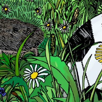 Vihreän lipun uuden luonnon monimuotoisuus -teemamateriaalin kuvituskuva.