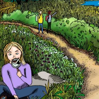 Luonnonkirjo__materiaali_kansikuva