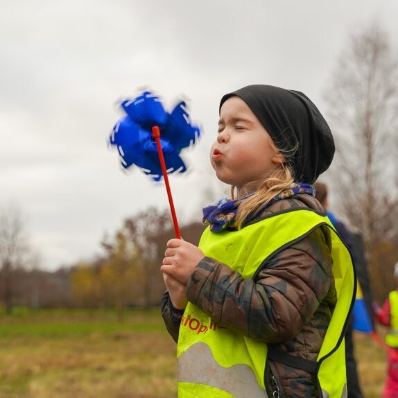 Pk kamomilla Pinja Silvonen (1)