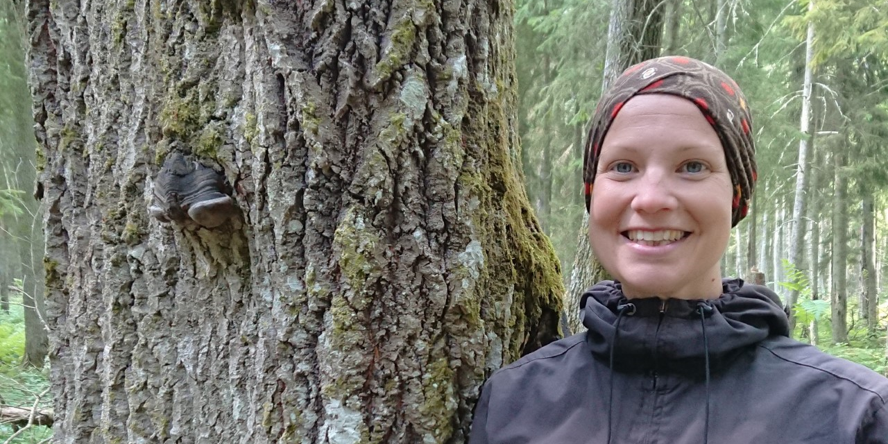 Sinikka_pääkir2019