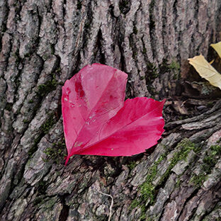 Kuvaaja: Alisa Vänttinen/FEE Suomi