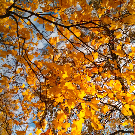 Kuvaaja: Alisa Vänttinen/FEE Suomi