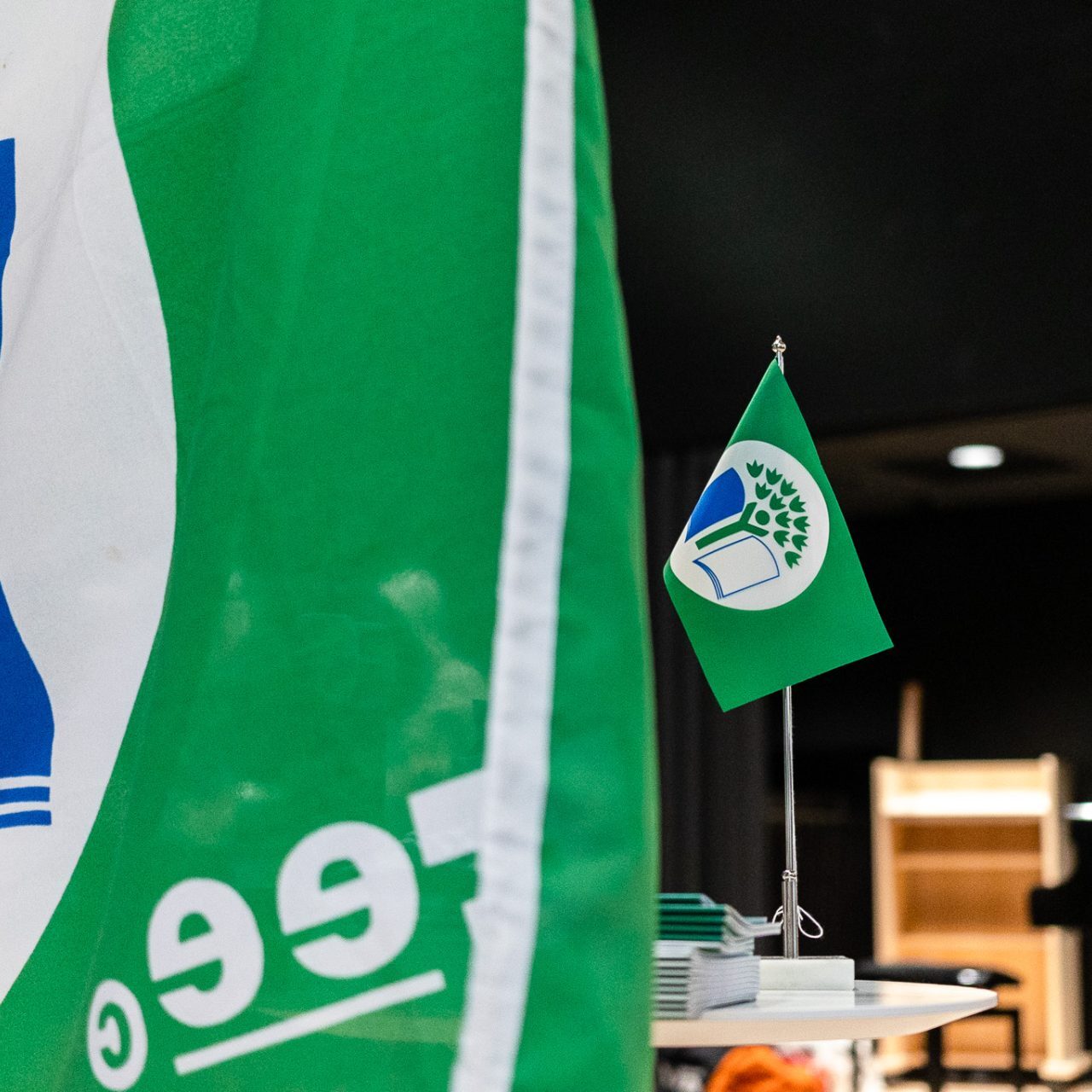 Saana Koukku / FEE Suomi