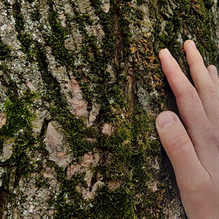 artikkelikuva_myotatunto