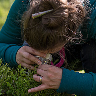 Nainen tutkii metsää luupilla.