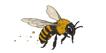 bee
