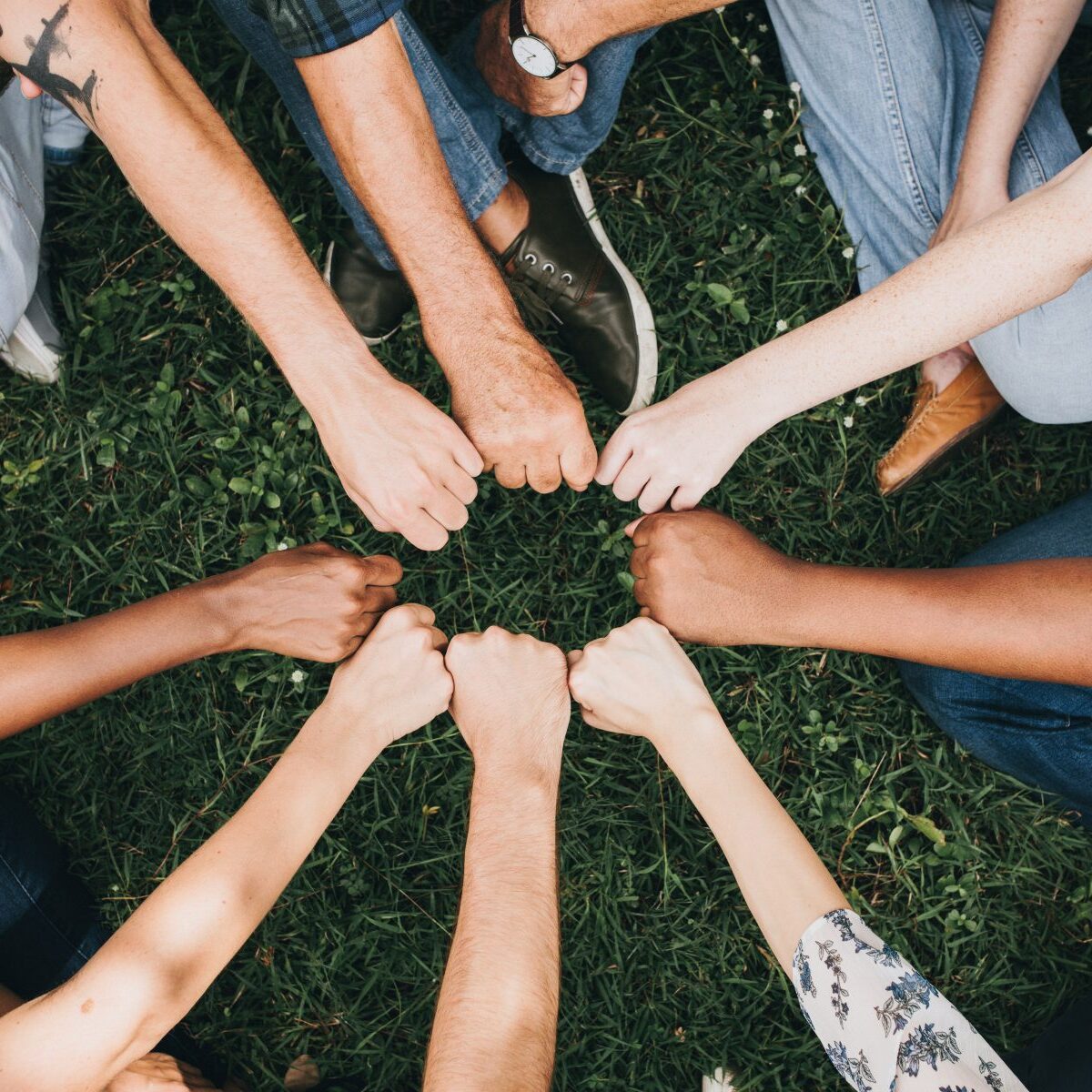 Curated Lifestyle / Unsplash