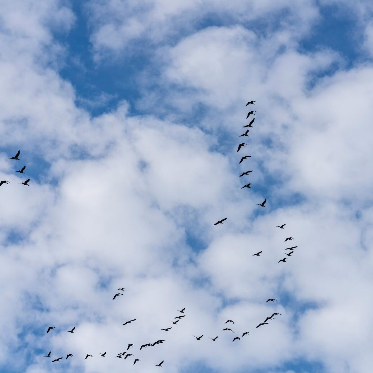 Hendrik Morkel / Unsplash