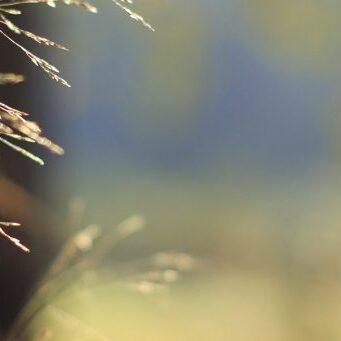 kevätkokous2022_wordpress_kansikuva_1800x600