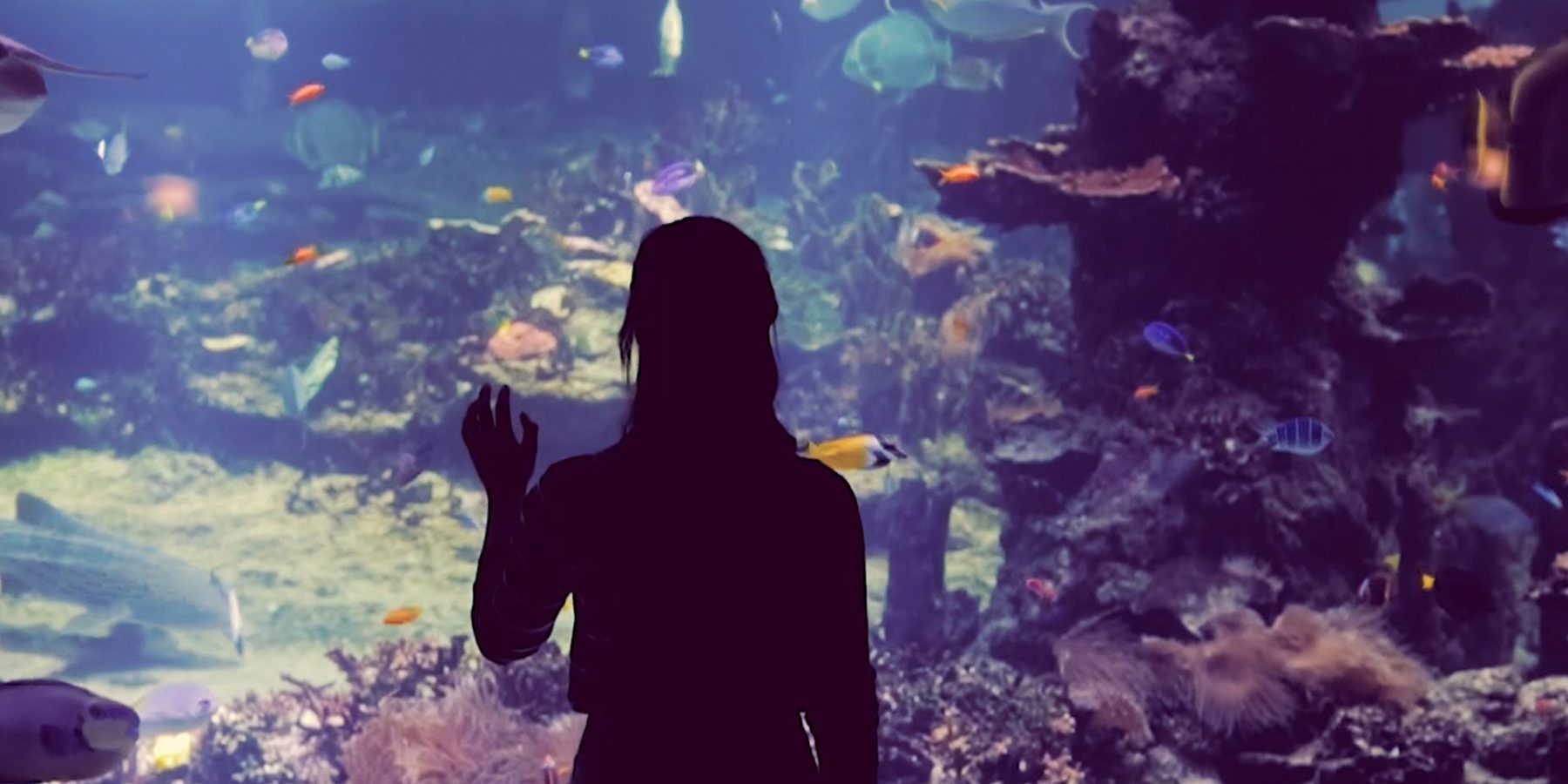 linneanjuttugirl-at-aquarium-centre-1920x1080