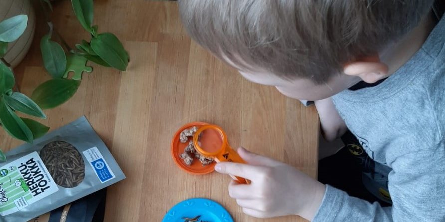 mervi-ruokajuttuKuva1_Kuvaaja_Kaisa Myllykangas