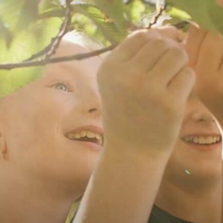 myötätunto 1800x763