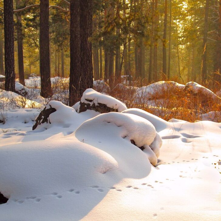 panun-juttuun-1-2021