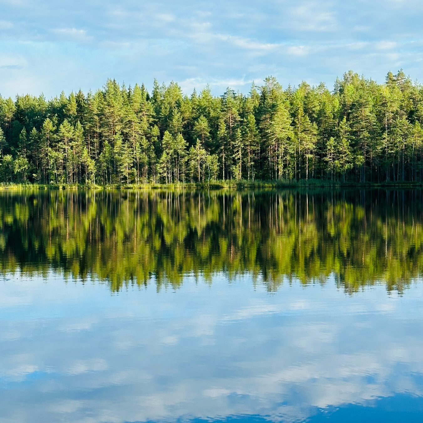 Pejman Nikram / Unsplash