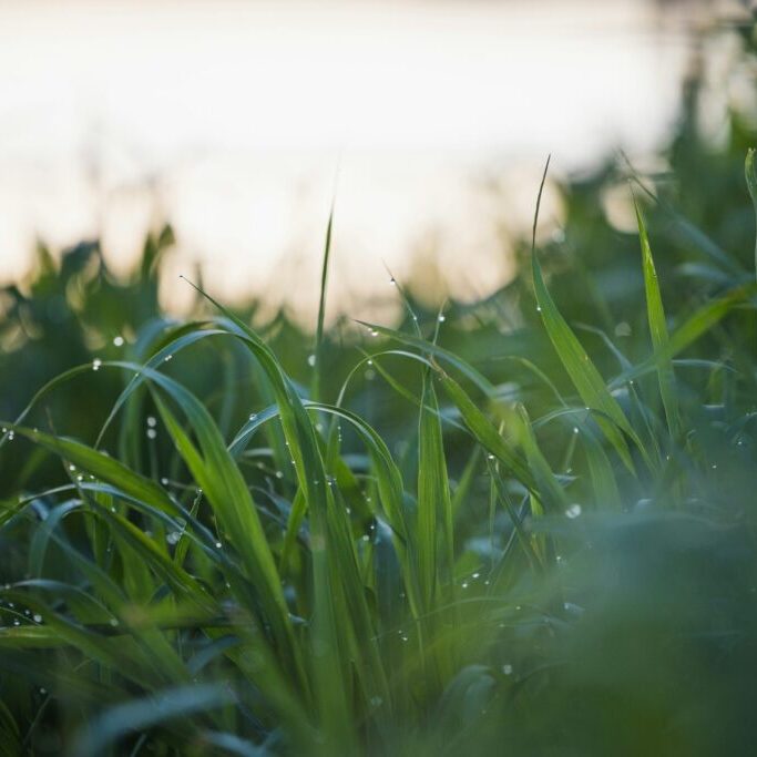 riho-kroll-N22s1OvyRcQ-unsplash