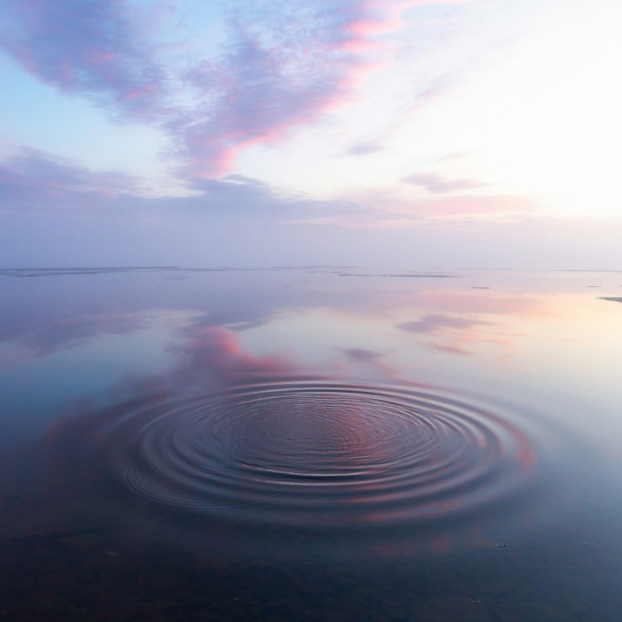 Sami Matias Breilin / Unsplash