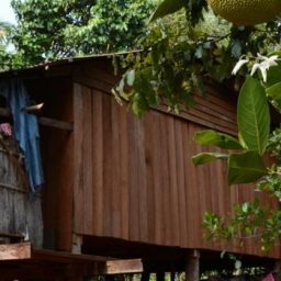 sipu_areng-kambodzha_biokulttuuri_timo