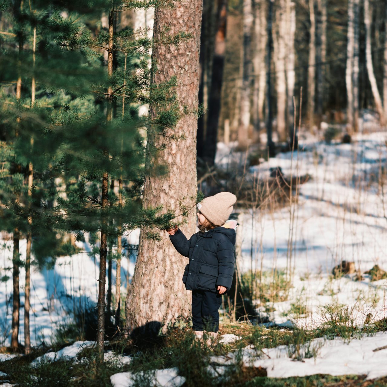 Stas Muravev / Unsplash