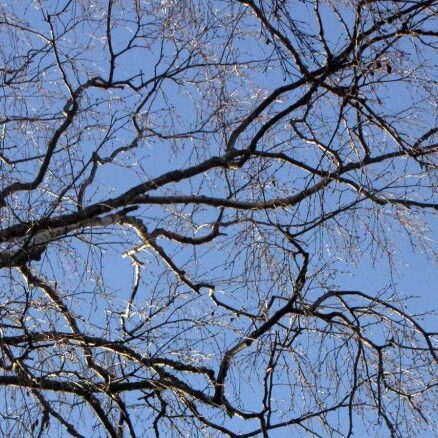 Ympäristökasvatusjärjestö FEE Suomi