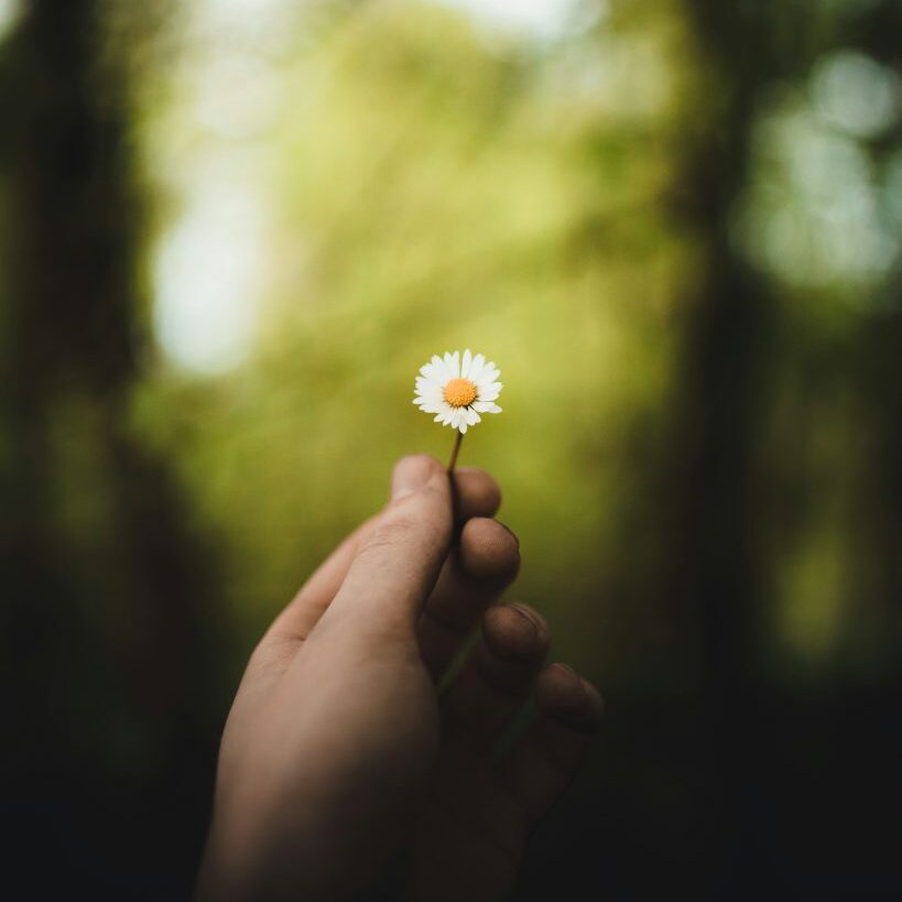 Kuva: Taneli Lahtinen / Unsplash