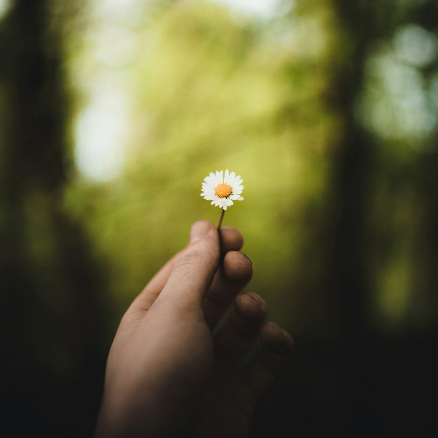 Kuva: Taneli Lahtinen / Unsplash